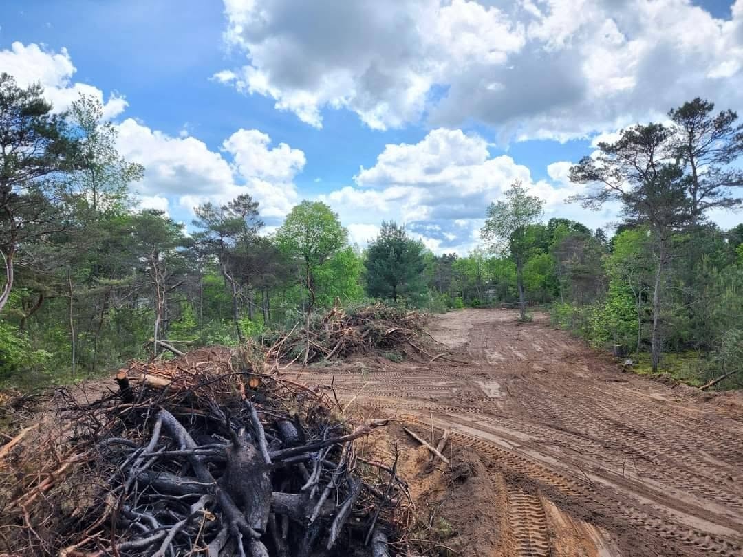 Land Clearing